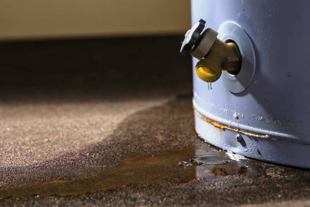 Best Flood damage cleanup  in Clifton Forge, VA