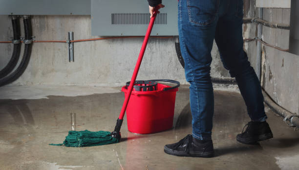 Best Mold removal after water damage  in Clifton Forge, VA
