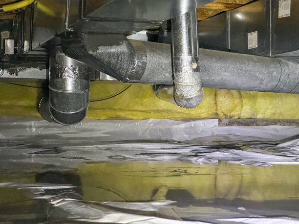 Best Water damage mitigation services  in Clifton Forge, VA
