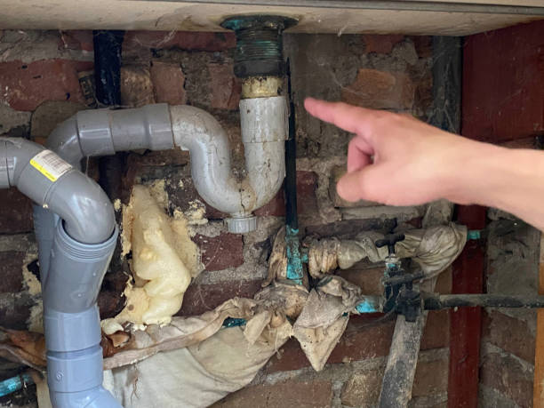 Reliable Clifton Forge, VA Water damage restoration Solutions