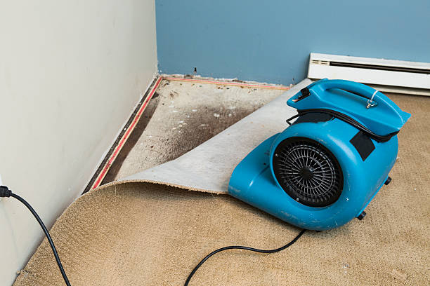 Best Flood restoration services  in Clifton Forge, VA