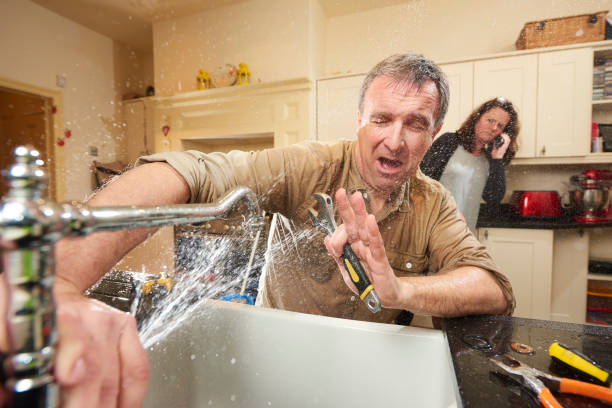 Best Fire Damage Restoration  in Clifton Forge, VA